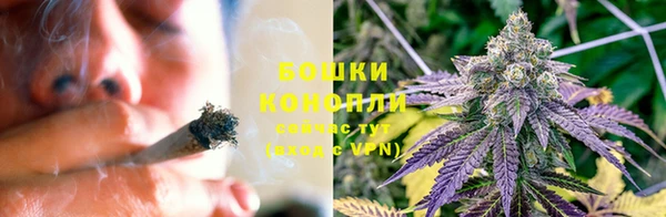 крисы Каменногорск
