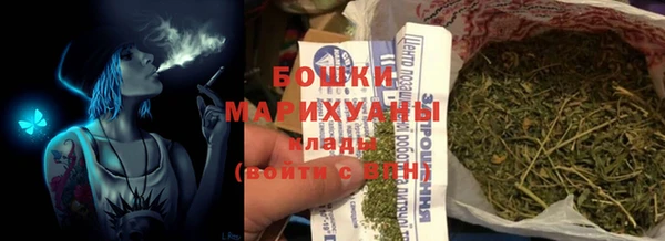 крисы Каменногорск