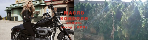крисы Каменногорск