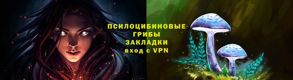 МДМА Каменка