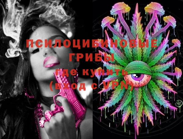 крисы Каменногорск
