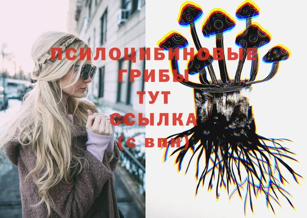 МДМА Каменка