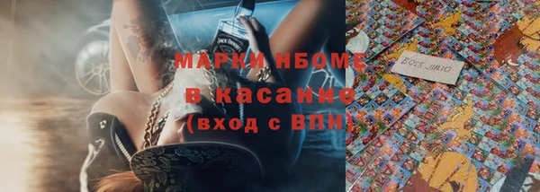 крисы Каменногорск