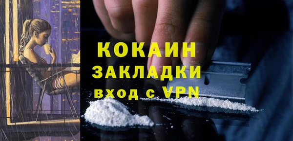 крисы Каменногорск