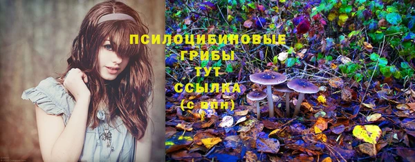 МДМА Каменка