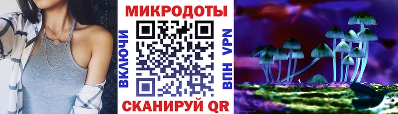 Галлюциногенные грибы Psilocybe Болгар