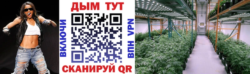 Купить  Болгар  Бошки марихуана индика 